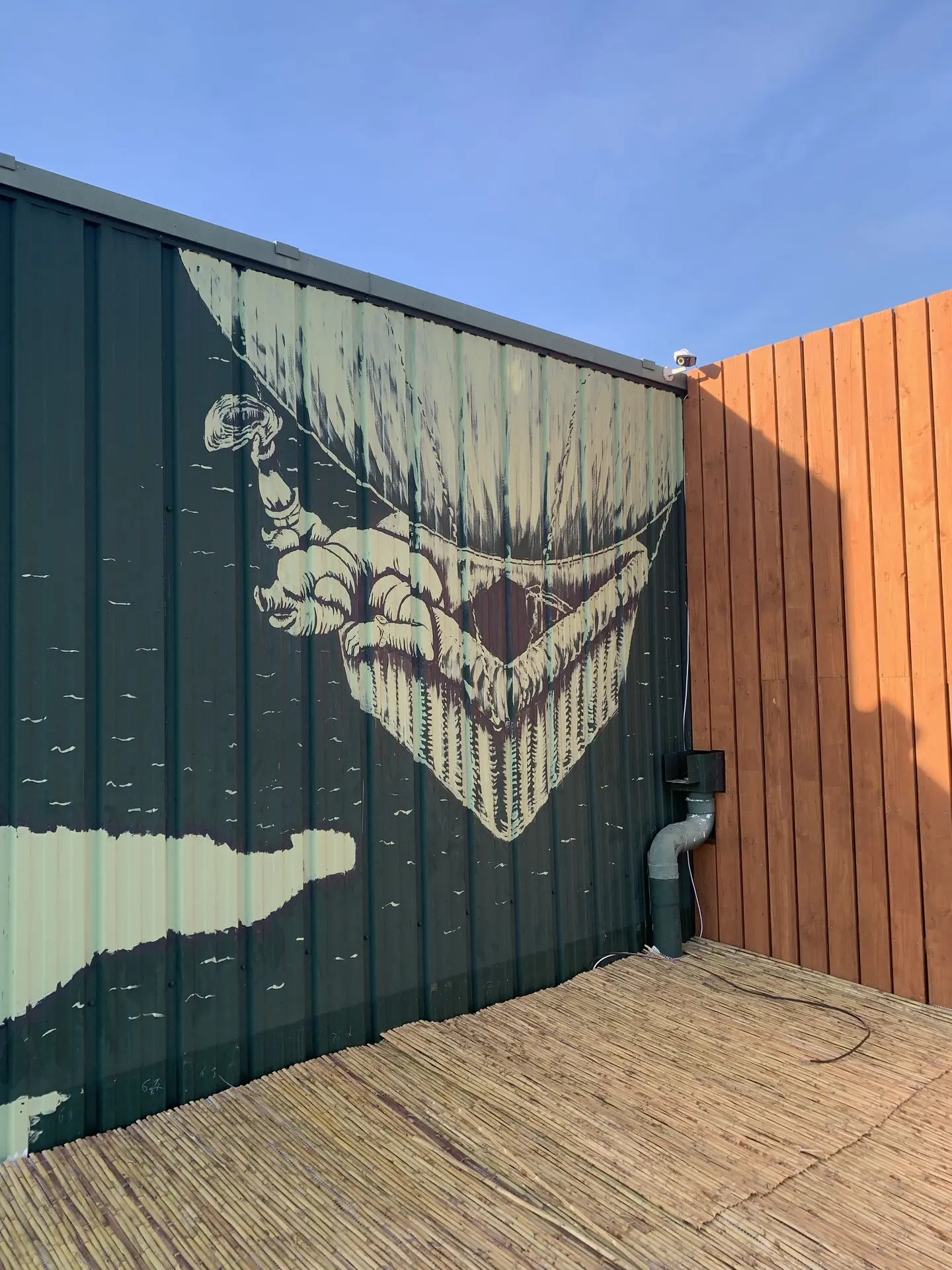 cochon en montgolfiere